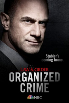Сериал Закон и порядок: Организованная преступность